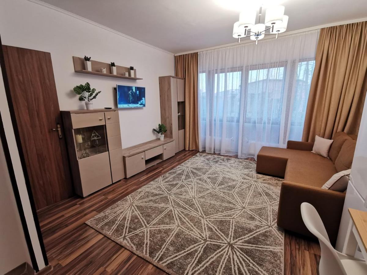 Charming Apartment In Villa Iasi Exteriér fotografie